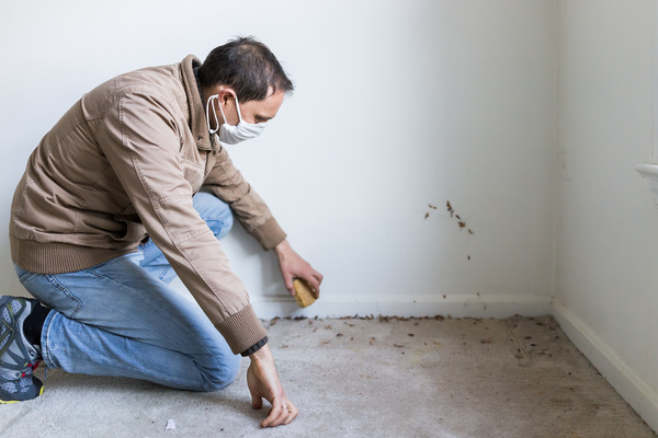 Image shows a man cleaning skirting boards
