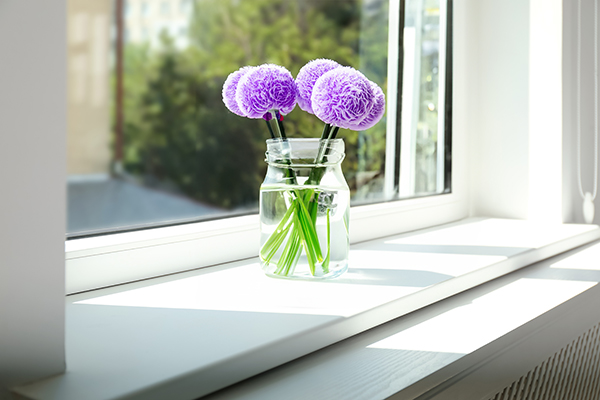 Allium flowers window decor