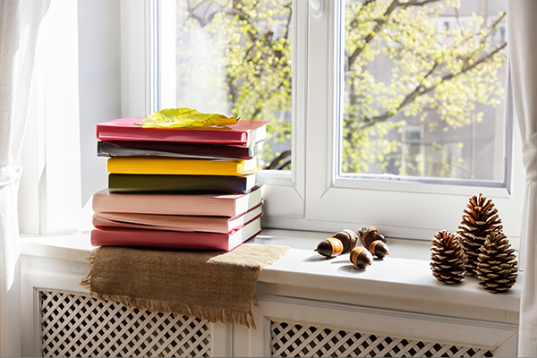 Books and pinecones on a window sill