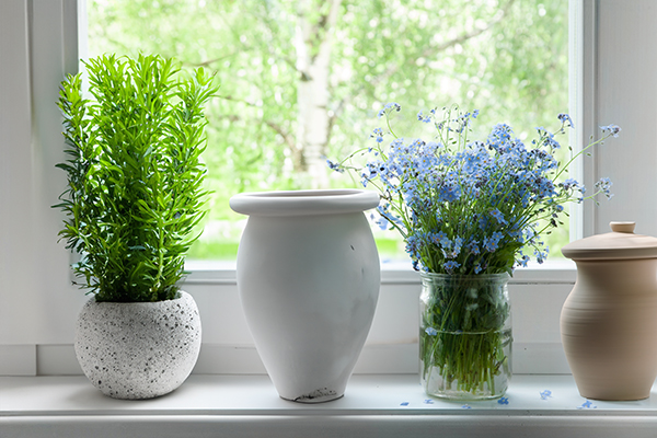 Flowery pots on window sill