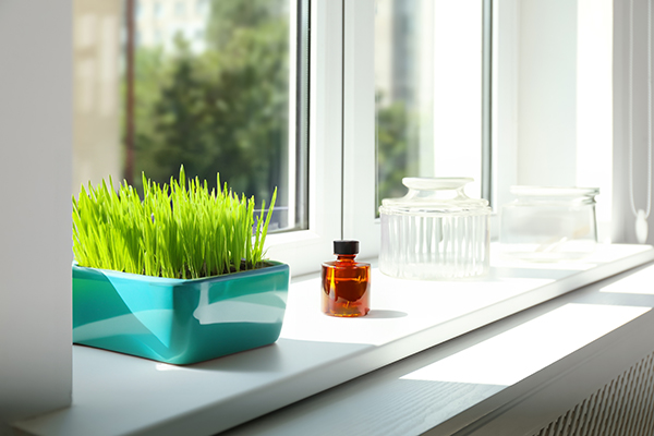 Lush grass and ceramic pots window